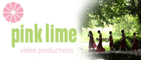 pink lime wedding dvds image